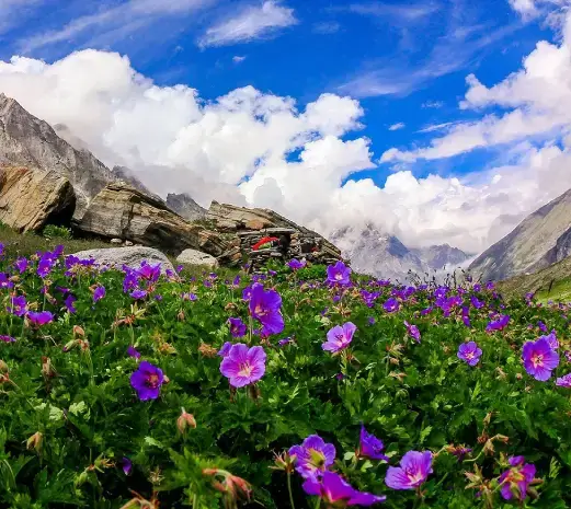 Beach Holiday Image 1